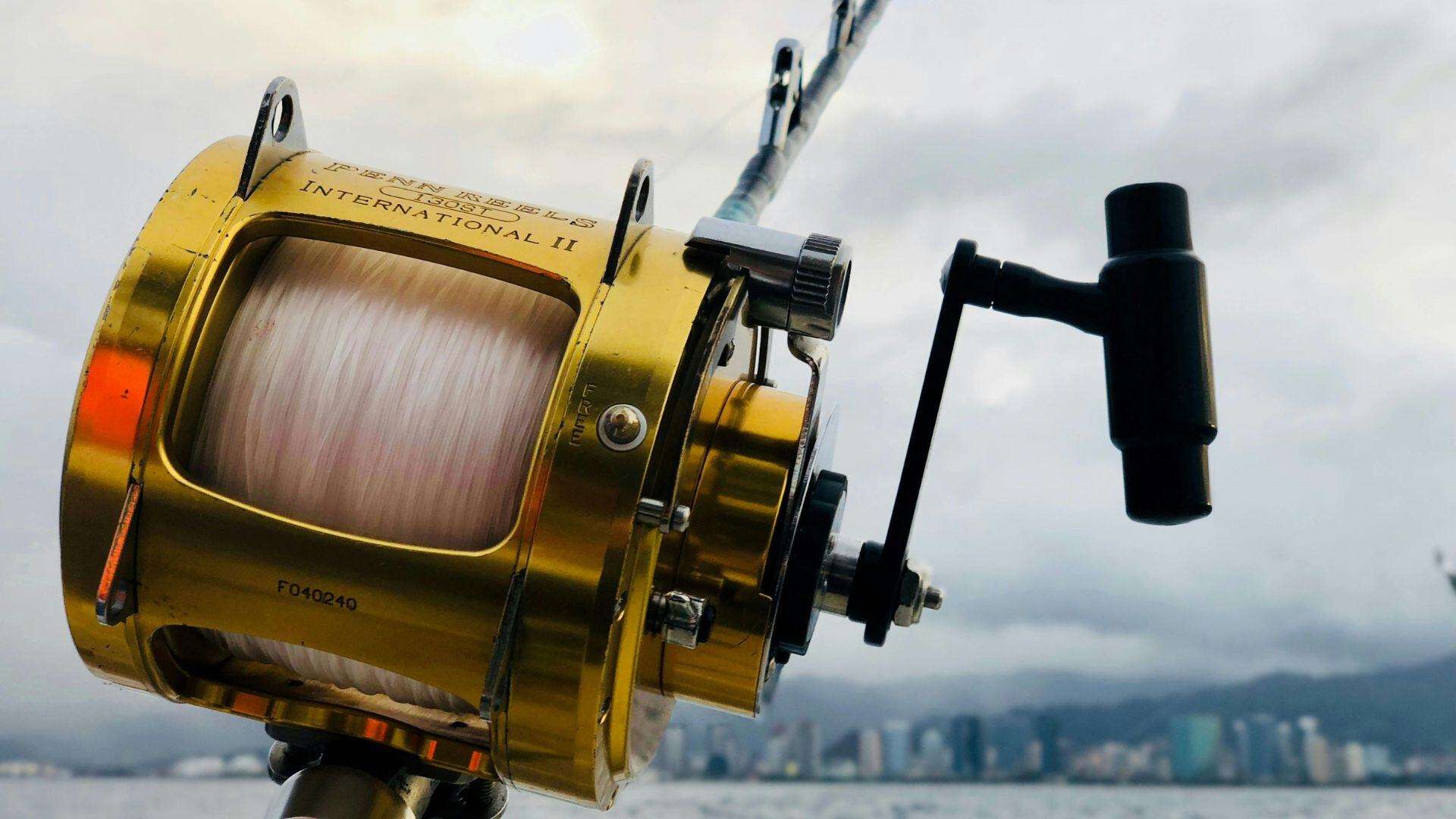 best beginner fishing reel Best Fishing & Reel Combo for Beginners in 2025